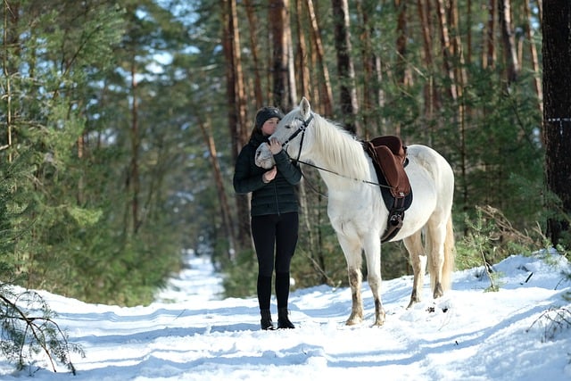 Horse riding tours